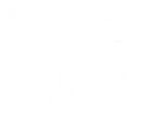 Paddock SimWorks